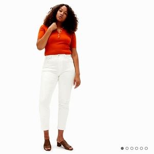 Curvy Cheeky Straight Jean Ankle Everlane